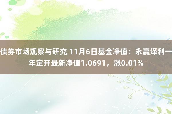 债券市场观察与研究 11月6日基金净值：永赢泽利一年定开最新净值1.0691，涨0.01%