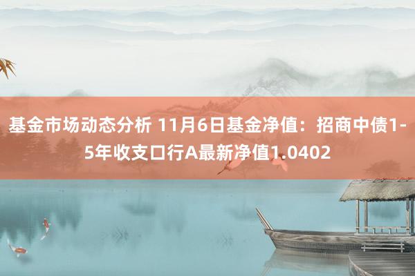 基金市场动态分析 11月6日基金净值：招商中债1-5年收支口行A最新净值1.0402