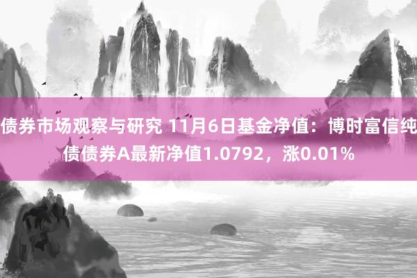 债券市场观察与研究 11月6日基金净值：博时富信纯债债券A最新净值1.0792，涨0.01%