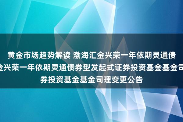 黄金市场趋势解读 渤海汇金兴荣一年依期灵通债券: 渤海汇金兴荣一年依期灵通债券型发起式证券投资基金基金司理变更公告