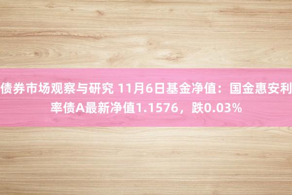 债券市场观察与研究 11月6日基金净值：国金惠安利率债A最新净值1.1576，跌0.03%