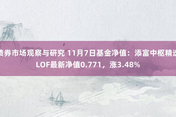 债券市场观察与研究 11月7日基金净值：添富中枢精选LOF最新净值0.771，涨3.48%