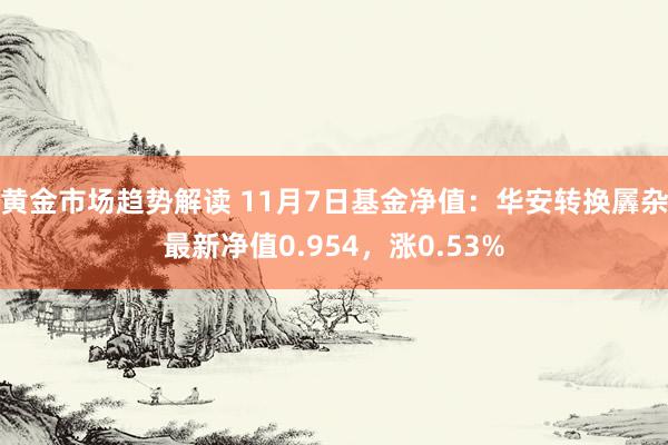 黄金市场趋势解读 11月7日基金净值：华安转换羼杂最新净值0.954，涨0.53%