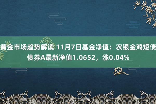 黄金市场趋势解读 11月7日基金净值：农银金鸿短债债券A最新净值1.0652，涨0.04%