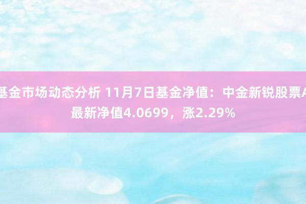 基金市场动态分析 11月7日基金净值：中金新锐股票A最新净值4.0699，涨2.29%