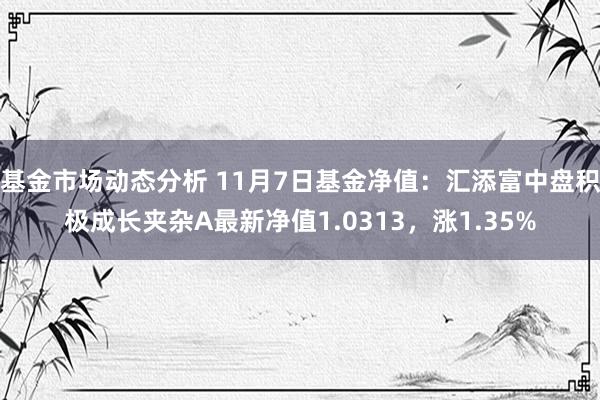 基金市场动态分析 11月7日基金净值：汇添富中盘积极成长夹杂A最新净值1.0313，涨1.35%