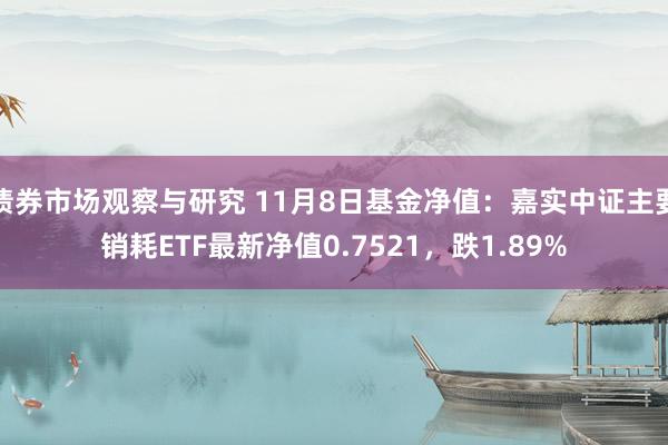 债券市场观察与研究 11月8日基金净值：嘉实中证主要销耗ETF最新净值0.7521，跌1.89%