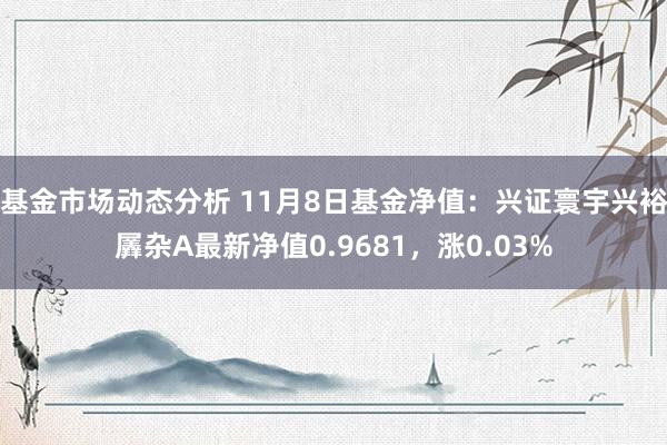 基金市场动态分析 11月8日基金净值：兴证寰宇兴裕羼杂A最新净值0.9681，涨0.03%