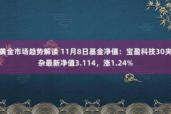 黄金市场趋势解读 11月8日基金净值：宝盈科技30夹杂最新净值3.114，涨1.24%