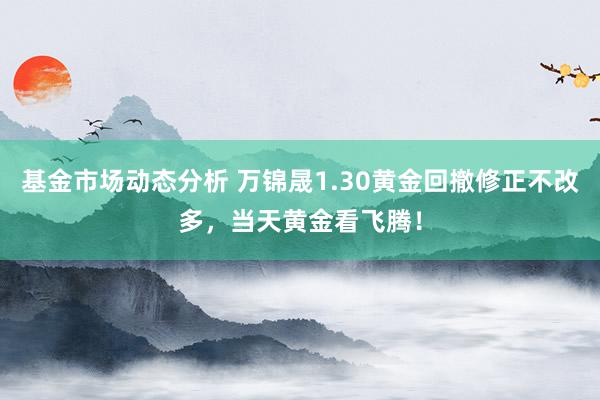 基金市场动态分析 万锦晟1.30黄金回撤修正不改多，当天黄金看飞腾！