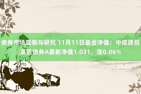 债券市场观察与研究 11月11日基金净值：中信建投景信债券A最新净值1.031，涨0.06%