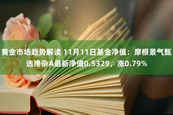 黄金市场趋势解读 11月11日基金净值：摩根景气甄选搀杂A最新净值0.5329，涨0.79%