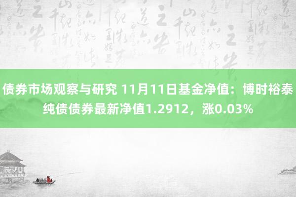   债券市场观察与研究 11月11日基金净值：博时裕泰纯债债券最新净值1.2912，涨0.03%