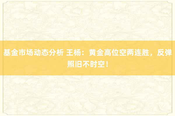   基金市场动态分析 王杨：黄金高位空两连胜，反弹照旧不时空！