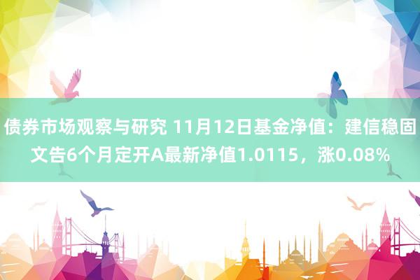   债券市场观察与研究 11月12日基金净值：建信稳固文告6个月定开A最新净值1.0115，涨0.08%