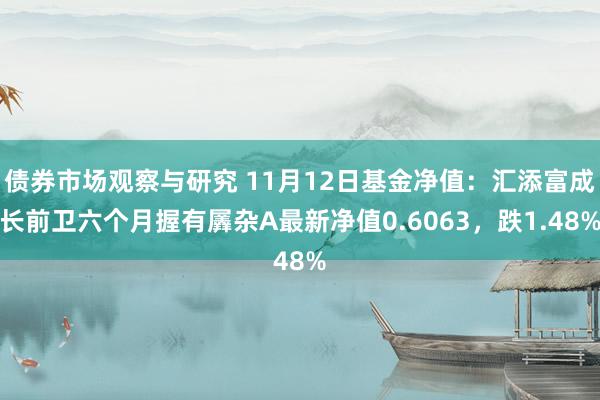   债券市场观察与研究 11月12日基金净值：汇添富成长前卫六个月握有羼杂A最新净值0.6063，跌1.48%