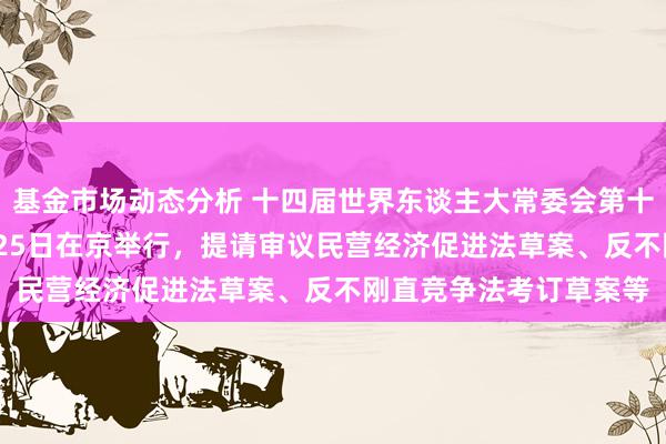 基金市场动态分析 十四届世界东谈主大常委会第十三次会议12月