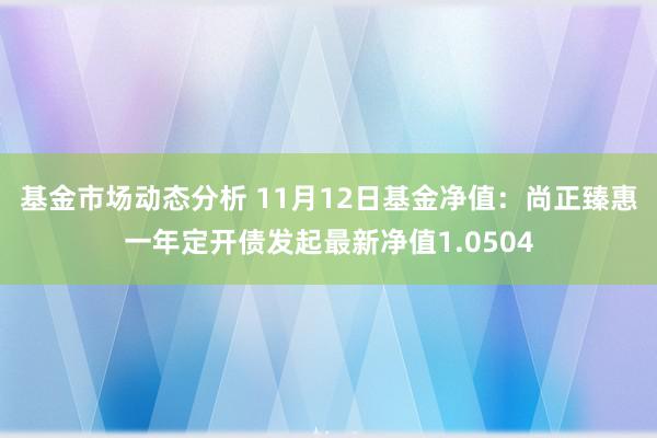   基金市场动态分析 11月12日基金净值：尚正臻惠一年定开债发起最新净值1.0504