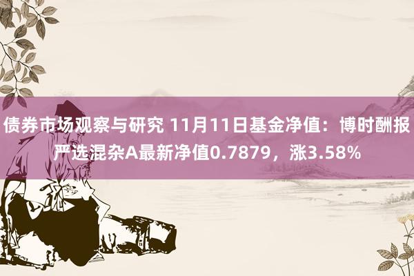 债券市场观察与研究 11月11日基金净值：博时酬报严选混杂A