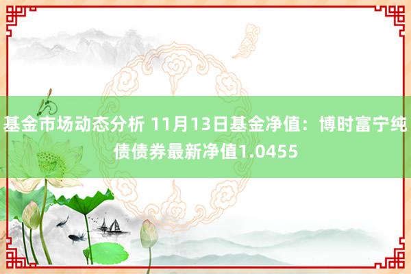   基金市场动态分析 11月13日基金净值：博时富宁纯债债券最新净值1.0455