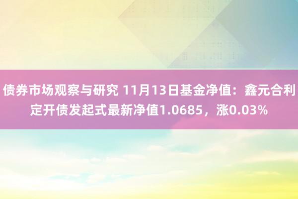   债券市场观察与研究 11月13日基金净值：鑫元合利定开债发起式最新净值1.0685，涨0.03%