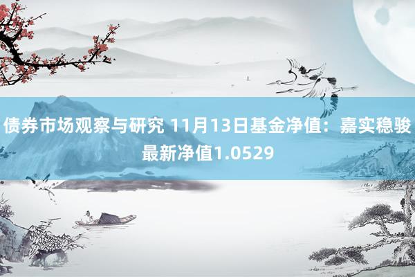   债券市场观察与研究 11月13日基金净值：嘉实稳骏最新净值1.0529