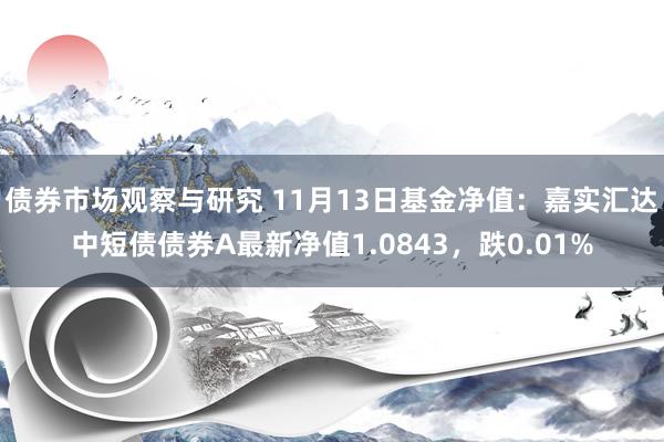   债券市场观察与研究 11月13日基金净值：嘉实汇达中短债债券A最新净值1.0843，跌0.01%