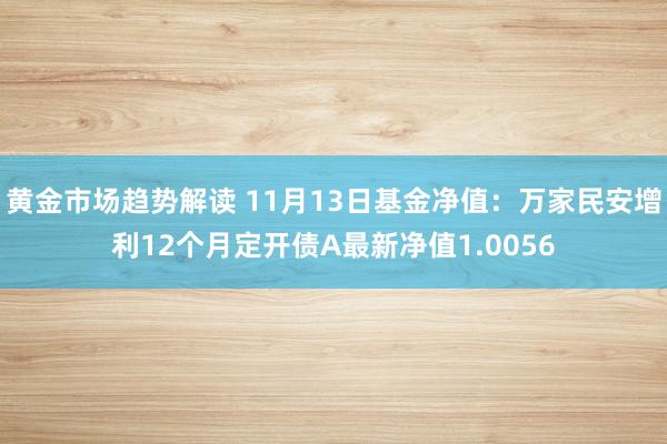 黄金市场趋势解读 11月13日基金净值：万家民安增利12个月