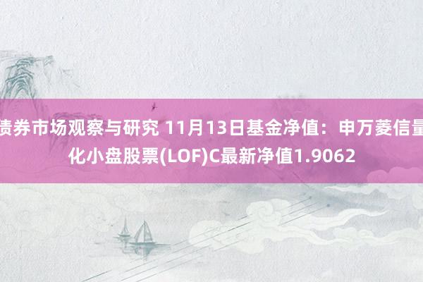   债券市场观察与研究 11月13日基金净值：申万菱信量化小盘股票(LOF)C最新净值1.9062