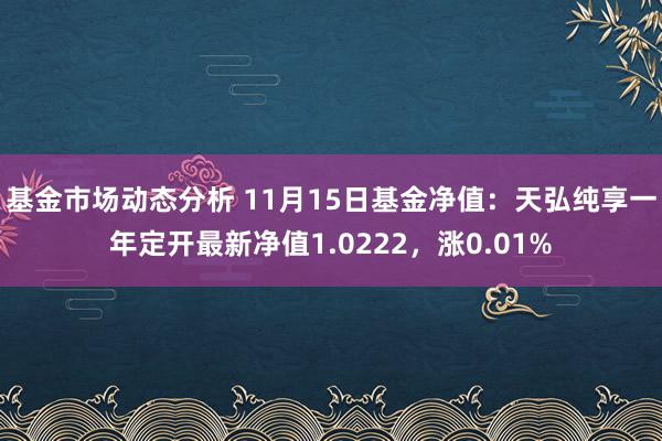 基金市场动态分析 11月15日基金净值：天弘纯享一年定开最新净值1.0222，涨0.01%