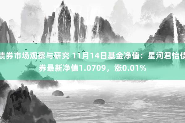 债券市场观察与研究 11月14日基金净值：星河君怡债券最新净值1.0709，涨0.01%