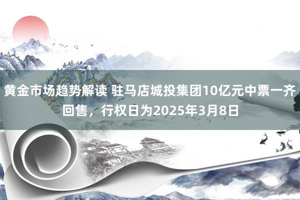   黄金市场趋势解读 驻马店城投集团10亿元中票一齐回售，行权日为2025年3月8日