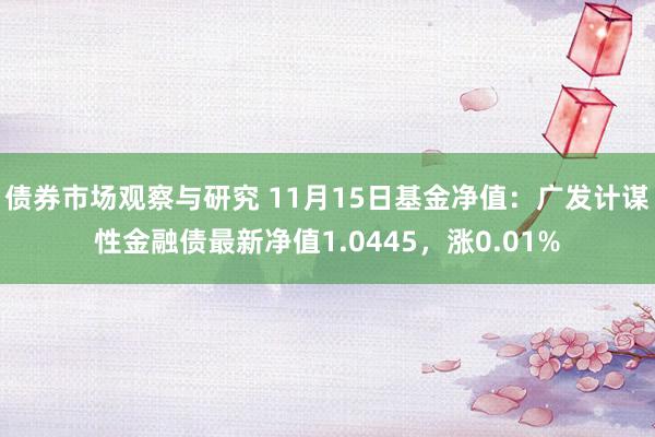 债券市场观察与研究 11月15日基金净值：广发计谋性金融债最