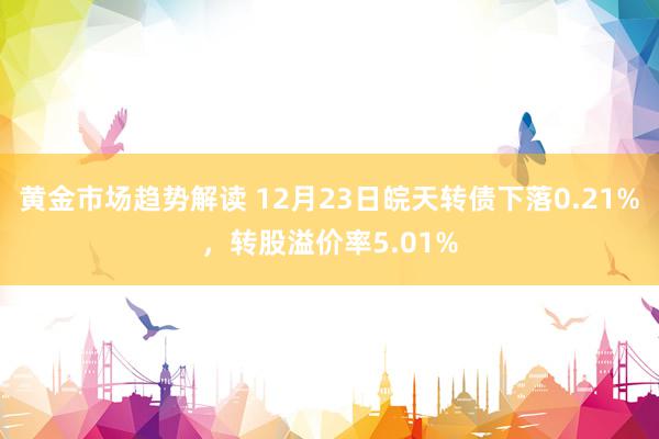 黄金市场趋势解读 12月23日皖天转债下落0.21%，转股溢价率5.01%