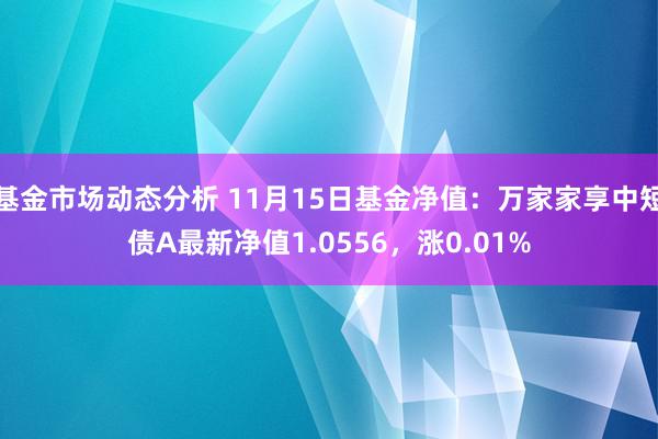 基金市场动态分析 11月15日基金净值：万家家享中短债A最新