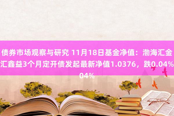   债券市场观察与研究 11月18日基金净值：渤海汇金汇鑫益3个月定开债发起最新净值1.0376，跌0.04%