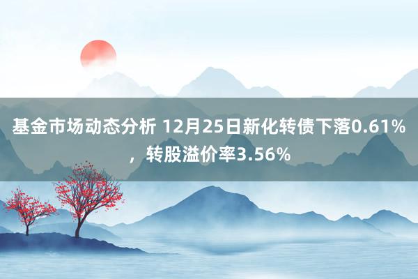   基金市场动态分析 12月25日新化转债下落0.61%，转股溢价率3.56%