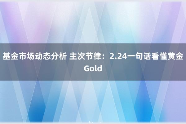   基金市场动态分析 主次节律：2.24一句话看懂黄金Gold