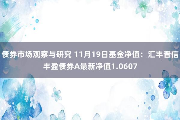   债券市场观察与研究 11月19日基金净值：汇丰晋信丰盈债券A最新净值1.0607