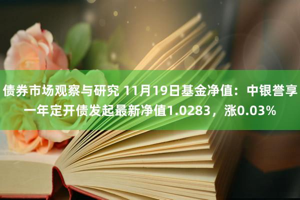 债券市场观察与研究 11月19日基金净值：中银誉享一年定开债