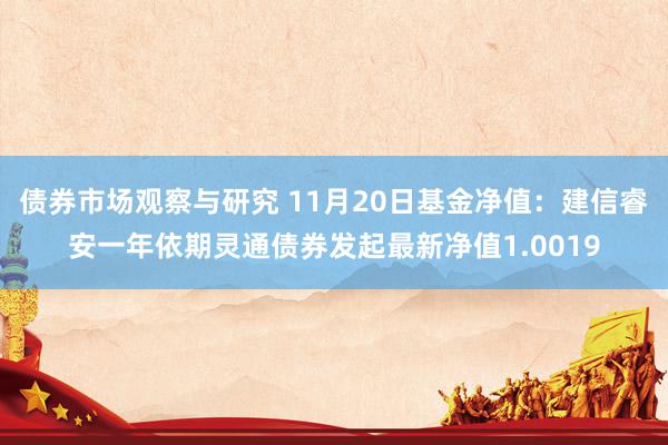 债券市场观察与研究 11月20日基金净值：建信睿安一年依期灵