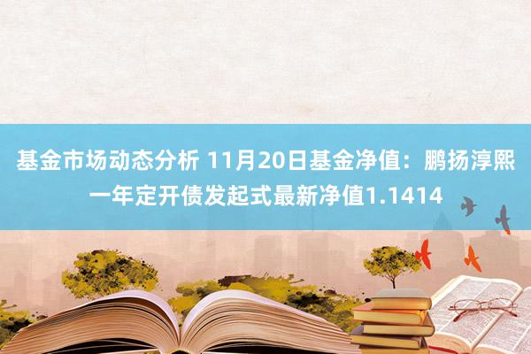   基金市场动态分析 11月20日基金净值：鹏扬淳熙一年定开债发起式最新净值1.1414