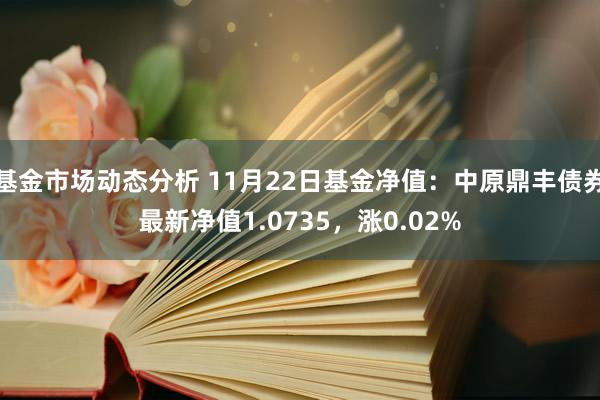 基金市场动态分析 11月22日基金净值：中原鼎丰债券最新净值1.0735，涨0.02%