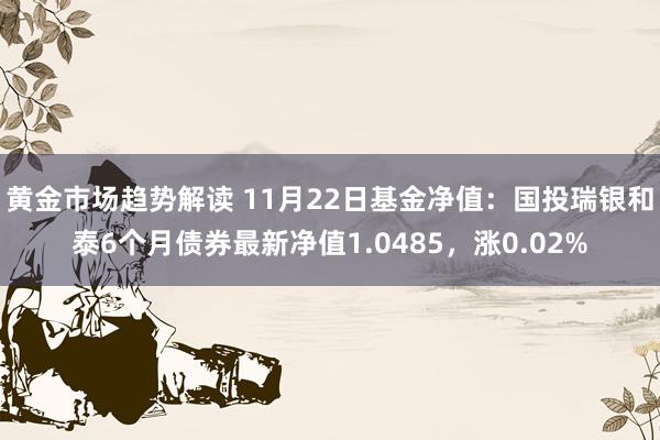 黄金市场趋势解读 11月22日基金净值：国投瑞银和泰6个月债券最新净值1.0485，涨0.02%