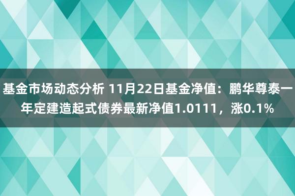 基金市场动态分析 11月22日基金净值：鹏华尊泰一年定建造起式债券最新净值1.0111，涨0.1%