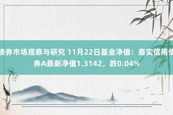 债券市场观察与研究 11月22日基金净值：嘉实信用债券A最新净值1.3142，跌0.04%