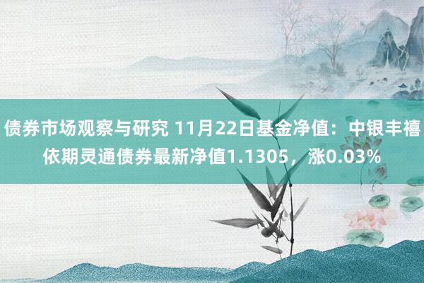   债券市场观察与研究 11月22日基金净值：中银丰禧依期灵通债券最新净值1.1305，涨0.03%