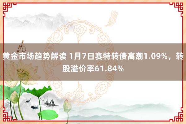   黄金市场趋势解读 1月7日赛特转债高潮1.09%，转股溢价率61.84%