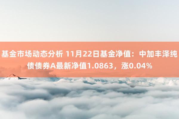   基金市场动态分析 11月22日基金净值：中加丰泽纯债债券A最新净值1.0863，涨0.04%