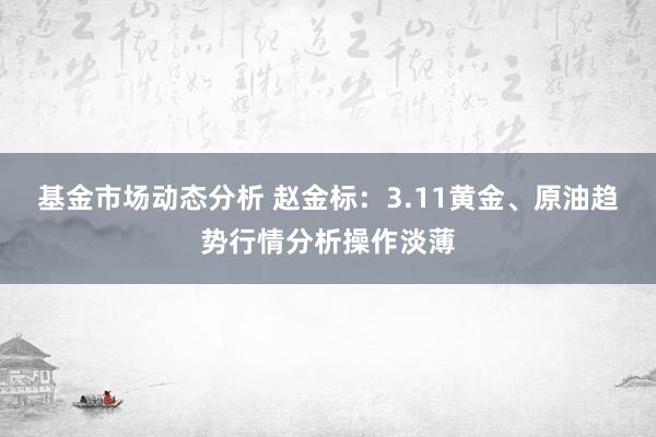   基金市场动态分析 赵金标：3.11黄金、原油趋势行情分析操作淡薄
